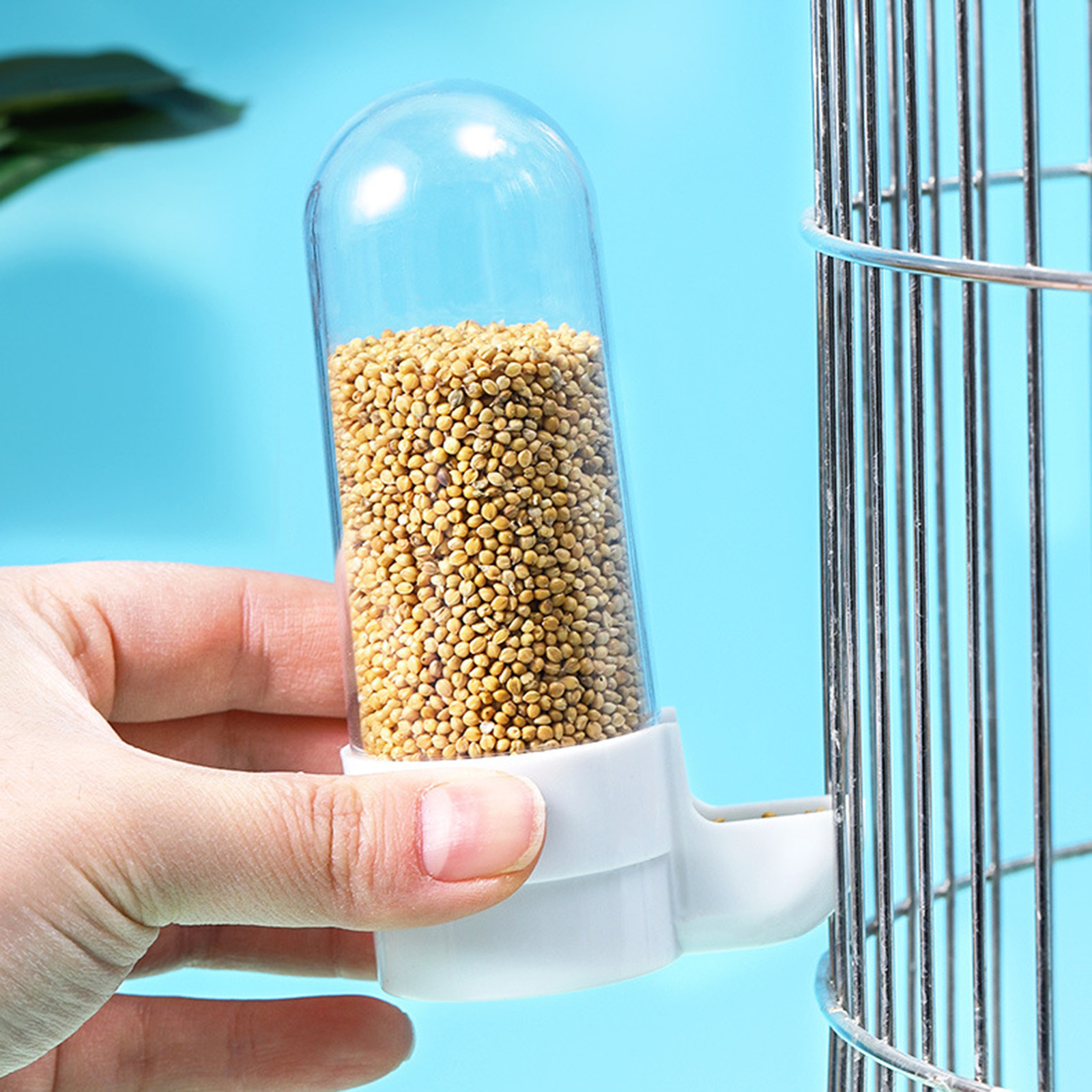 Bird Water Feeder Smooth Edge Splash Proof Parakeet Cockatiel Food
