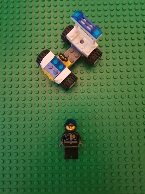 lego 30013