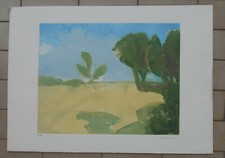 ALDO SALVADORI INCISIONE ACQUATINTA ACQUAFORTE FIRMATA E P.A. CIELO BLU