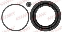 Reparatursatz Bremssattel Vorne Quick Brake 114 0247 FÜR Chrysler