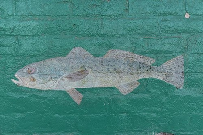 #ad #ad Port Isabel Texas Champion Building Fish Mural 1906 Painted Fish Arcade $13.49