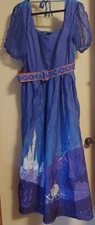 NWT Disney Her Universe Cinderella Castle Dress by Ashley Taylor Blue Long L