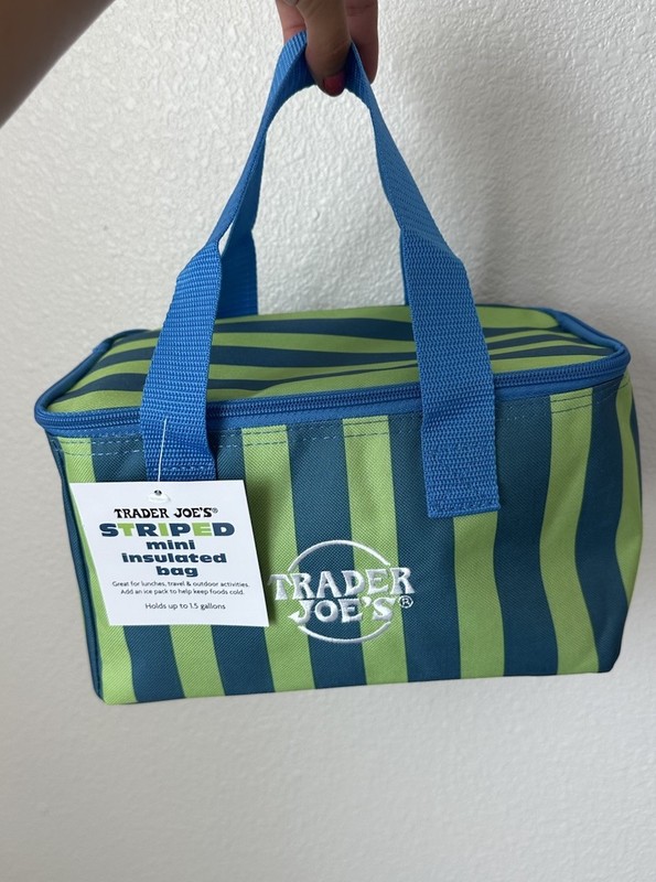 Trader Joe's Mini Insulated Lunch Bag w/ Handle Green Blue Striped 1.5 Gal