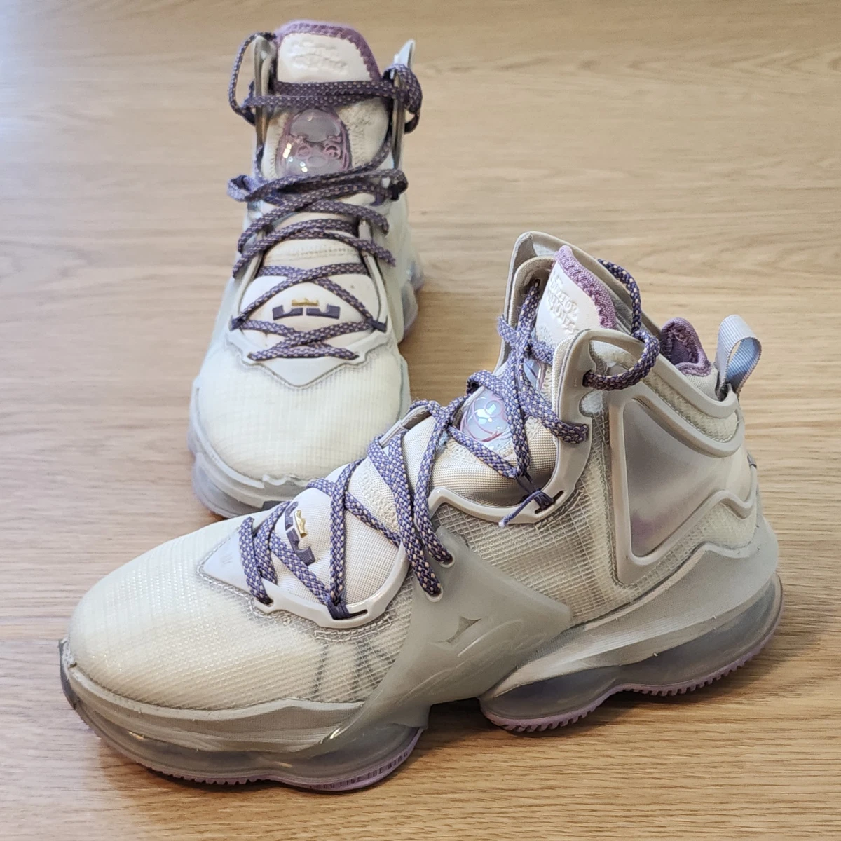 Nike LeBron 19 XIX Strive For Greatness Shoes Mens 8 Purple 