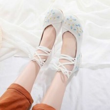 Women Chinese Old Peking Embroidered Flowers Casual Dancing Cloth Shoes