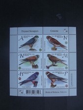 Weißrussland  Vögel  2021    **