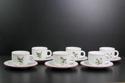 PRETTY PRIMULA ITALY FLORAL BOTANICAL HERB PATTERN SET OF SIX TEACUPS & SAUCERS