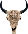 Boho Cow Skull Wall Decor - 9.3” L Faux Bull Skull Wall Handing Resin Animal ...