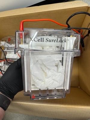 Invitrogen XCell SureLock Mini-Cell Electrophoresis System