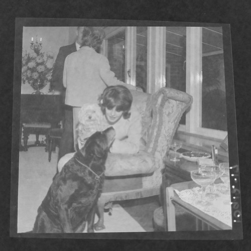 Vintage black and white negative, Dog, Owner, Family Pet, Social History, 1950s