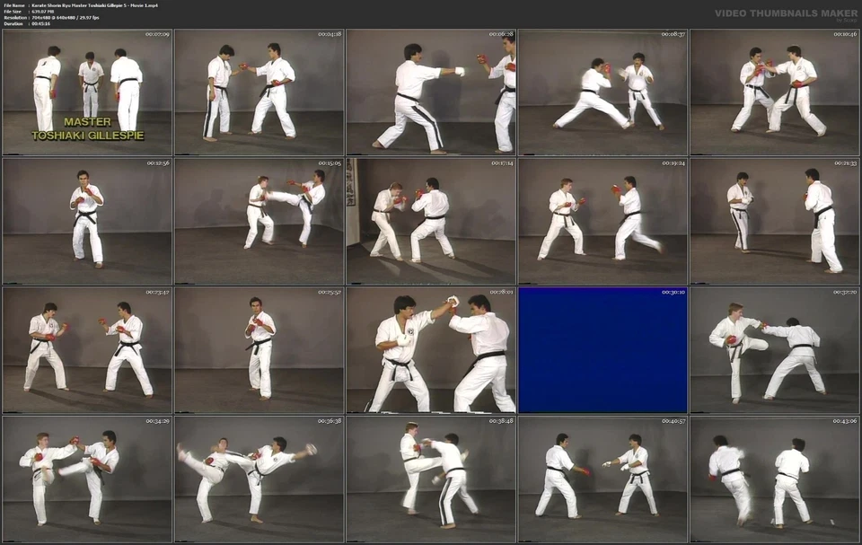 Shorin Ryu Karate starring Master Toshiaki Gillespie (6 DVD Set) Foto 4 de 4