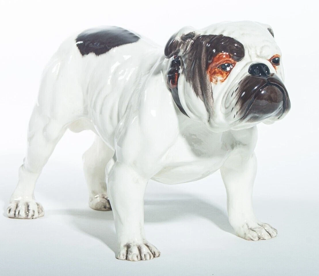 Big white store bulldog