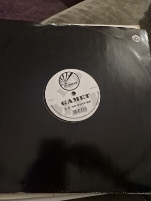 (139) Gamet    No Future / Microcosm DNB 12''  VGC+