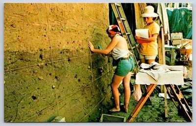 Archaeological students charting profile wall Koster Site 1970s
