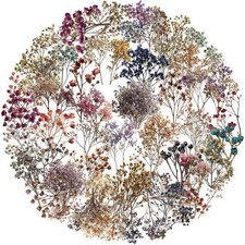 50PCS Dried Gypsophila Flower PET Stickers, Clear Waterproof Transparent Floral