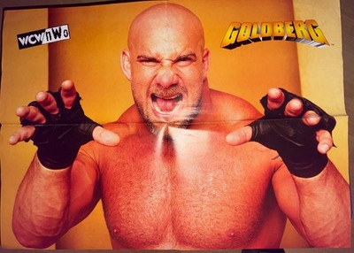   RARES WCW nWo Doppelposter   GOLDBERG & KEVIN NASH   Original 90er Kult!  
