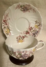 Vintage Copeland Spode Fairy Dell Teacup/Saucer, England