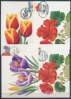 XE59656 Belgium 1999 -2005 flowers nature maxicards used