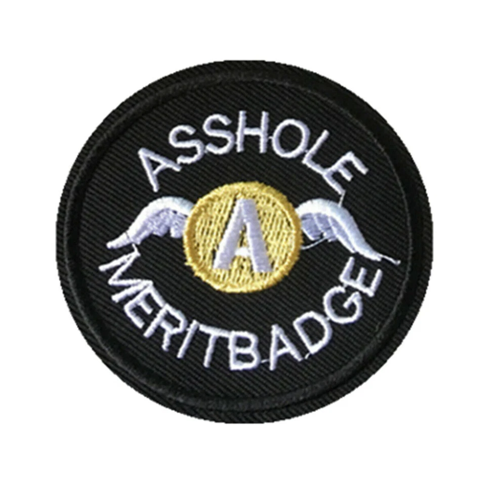 10pcs Ass Hole Merit Badge Embroidered Motif Applique Badge Wings Sew On Patch - Image 4 of 4