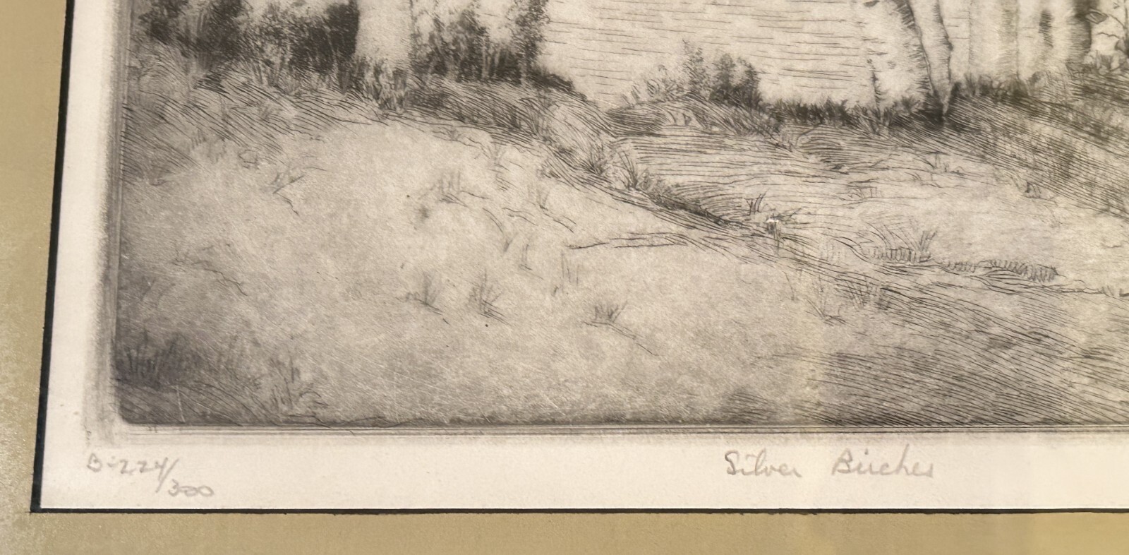 Picture 6 of 14