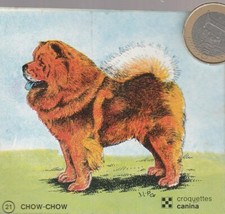 C44ani. Animaux. Chien. CANINA. CHOW CHOW. Vignette N° 21