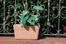 Tontopf Terrakotta pflanztopf  Balkonkasten ca 29,5 cm lg.