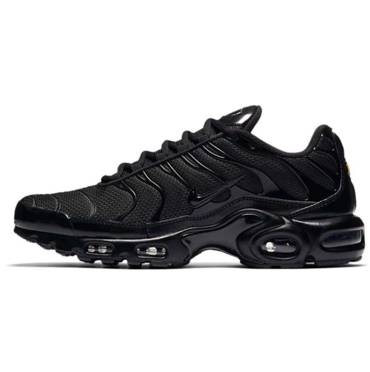 nike air max plus black