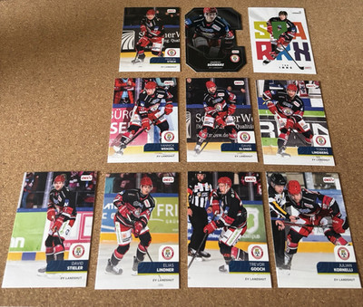 Playercards DEL2 (Teamset) EV Landshut 2025/26