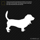 (2x) Basset Hound Sticker Die Cut Decal Self Adhesive Vinyl dog canine pet