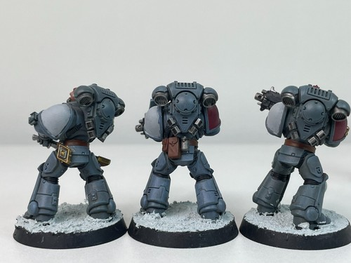Intercessors Space Wolves Grey Hunters Space Marines Warhammer 40k 1585 - Picture 5 of 11