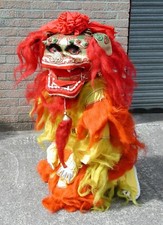 Chinese New Year Lion Dance Costume for Child...