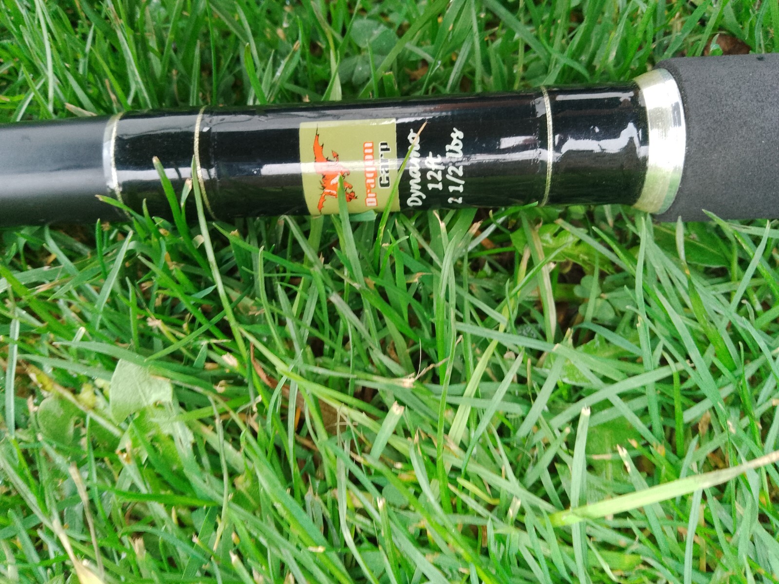 dragon carp fishing rods x2 fishing rods eBay