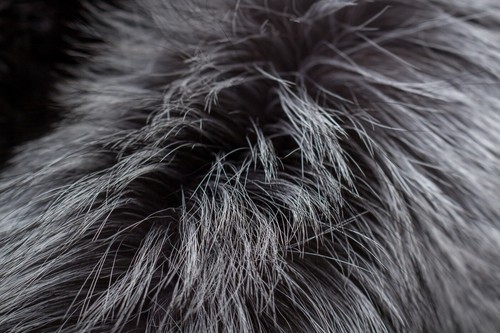 1391 Large Silver Fox Throw with special processing Pelt Blanket Real Fur Cover - Picture 7 of 11