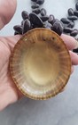 RARE VTG XL HAWAIIAN OPIHI LIMPET SHELL HM TURTLE PENDANT NECKLACE SEA BEAN BEAD — photo 4
