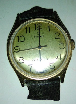 q timex ebay