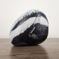 Handpainted Skunk Black White Rock Beautifully Done