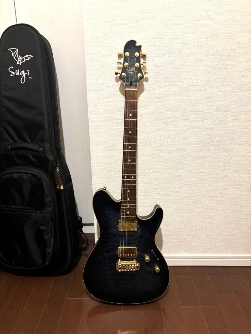 Sugi Guitars DS496 IR セミハードケース付き Sugi Guitars Ds496 Ir With Semi-Hard Case Safe delivery from