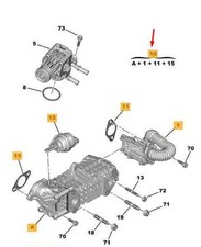 CITROËN C3 MK3 SX Exhaust Gas Water Exchanger 1679828380 NEW GENUINE