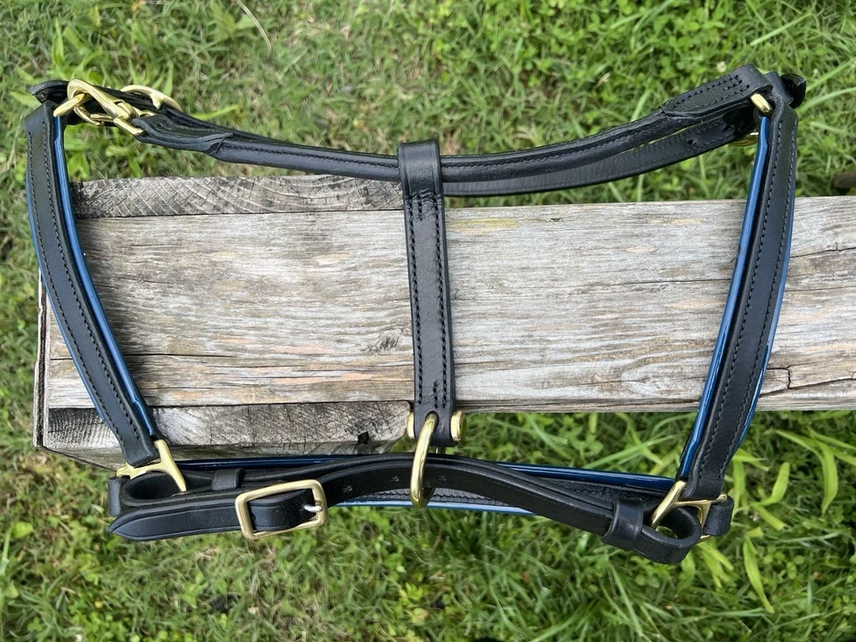 "Halter Leaders 3/4"" de cuero negro con tubo de cuero azul marino tamaño caballo" Foto 3 de 4