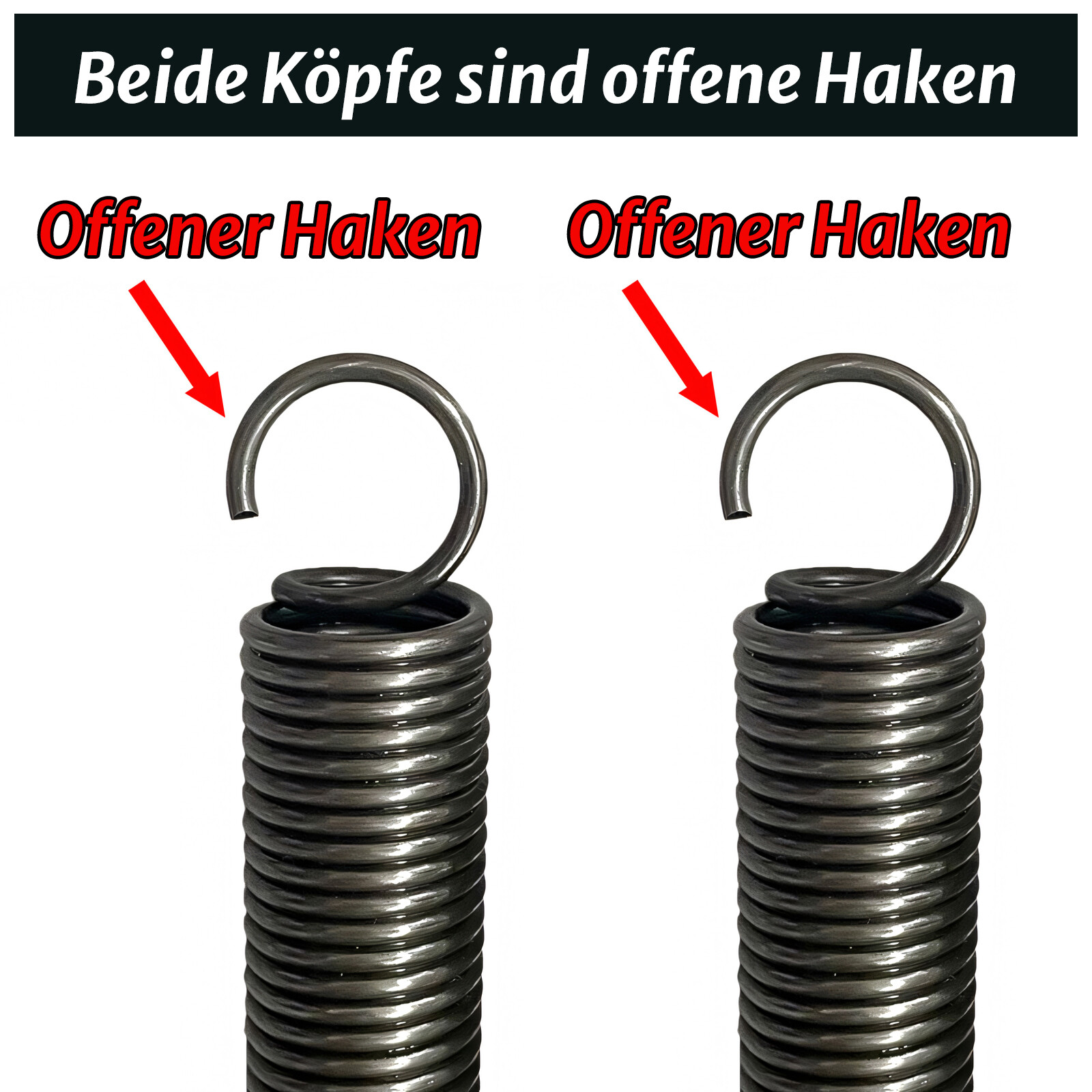 Bild 4 von 12