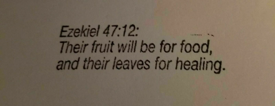 PANAWAY 基本款油辊瓶 — 第 2/2 张图片