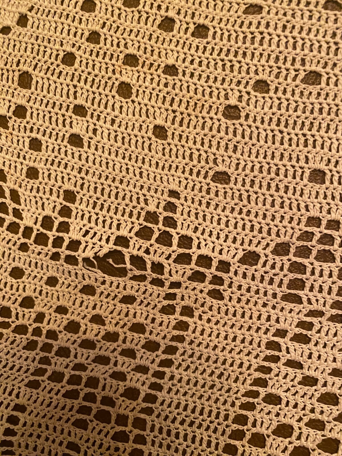 Picture 6 of 6