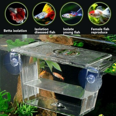 Acryl Aquarium Zucht Box Baby Fisch Separator Aquarium Isolat Brutplatz