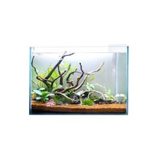 Swell Glass Aquarium 30cm – 10.8L Tank, , Frameless Fish Tank  