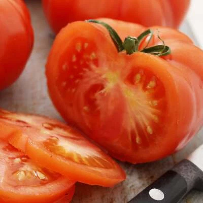 BACK TO NATURE SEED COMPANY Beefsteak Tomato Seeds - Seeds - Organic - Non Gmo - Heirloom Seeds