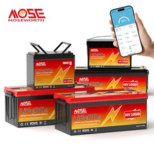 48V 36V 24V 200Ah 300Ah 400Ah 600Ah Lithium LiFePO4 Battery 200A BMS Solar Motor