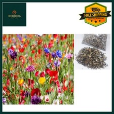 Wild Flower Meadow Seeds Bulk Mix 777 - Over 20 Species 1kg 135.99 per kilo