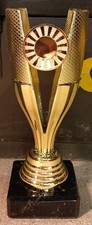 24x Pokal Gold 15,5 cm SET.352.01.A Siegerpokale Troph&auml;en Vereinsbedarf