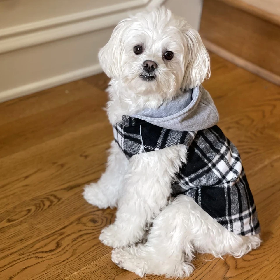 NEW Cozy Plaid Flannel Dog Sweatshirt Hoodie w/ Zip-Of - Black & White - Image 3 of 4