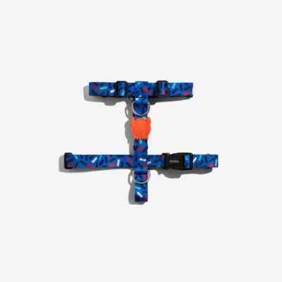 ZEE.DOG | Atlanta Adjustable Dog Halter H-Harness | Blue & Orange
